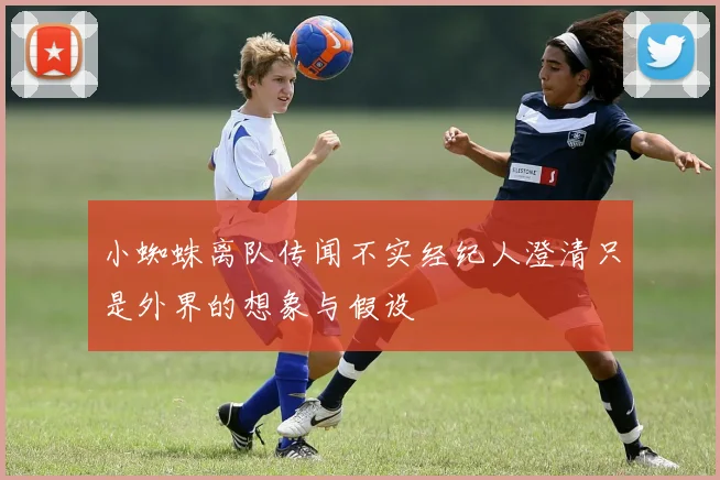 小蜘蛛离队传闻不实经纪人澄清只是外界的想象与假设