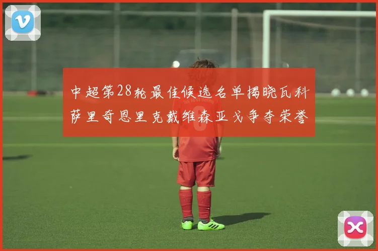 中超第28轮最佳候选名单揭晓瓦科萨里奇恩里克戴维森亚戈争夺荣誉
