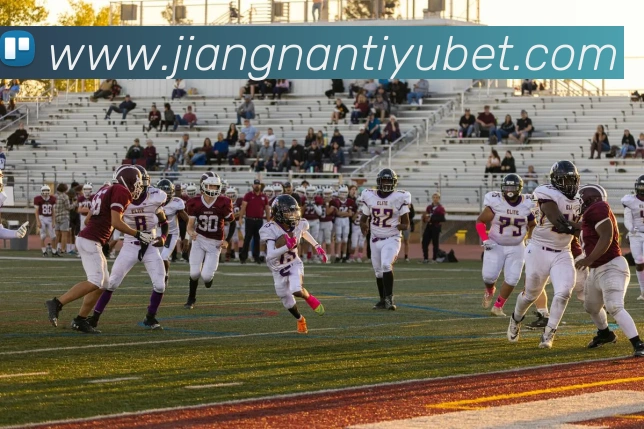 多媒体互动体验